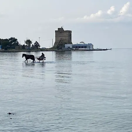 La Casa Sul Mare Apartment *